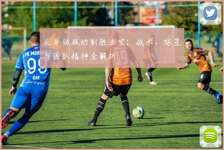 北非劲旅的制胜法宝：战术、球星与团队精神全解析
