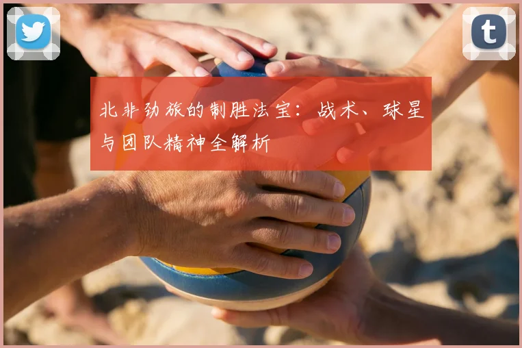 北非劲旅的制胜法宝:战术、球星与团队精神全解析
